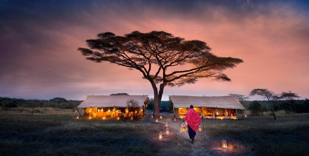 Serengeti National Park, Northern Tanzania, Tanzania